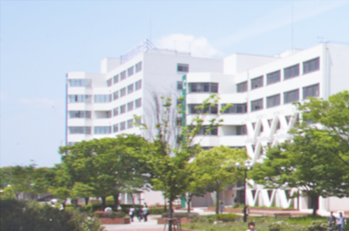 廖嘉慧-丰桥技术科学大学.png